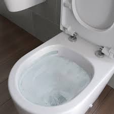 Rimless Toilets