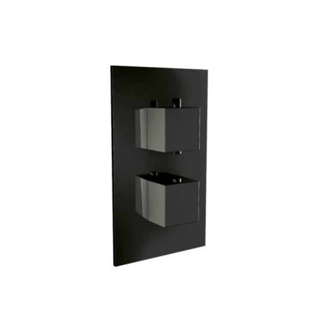 Black Twin Square Concealed Valve